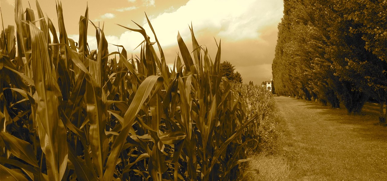Agrifood FVG