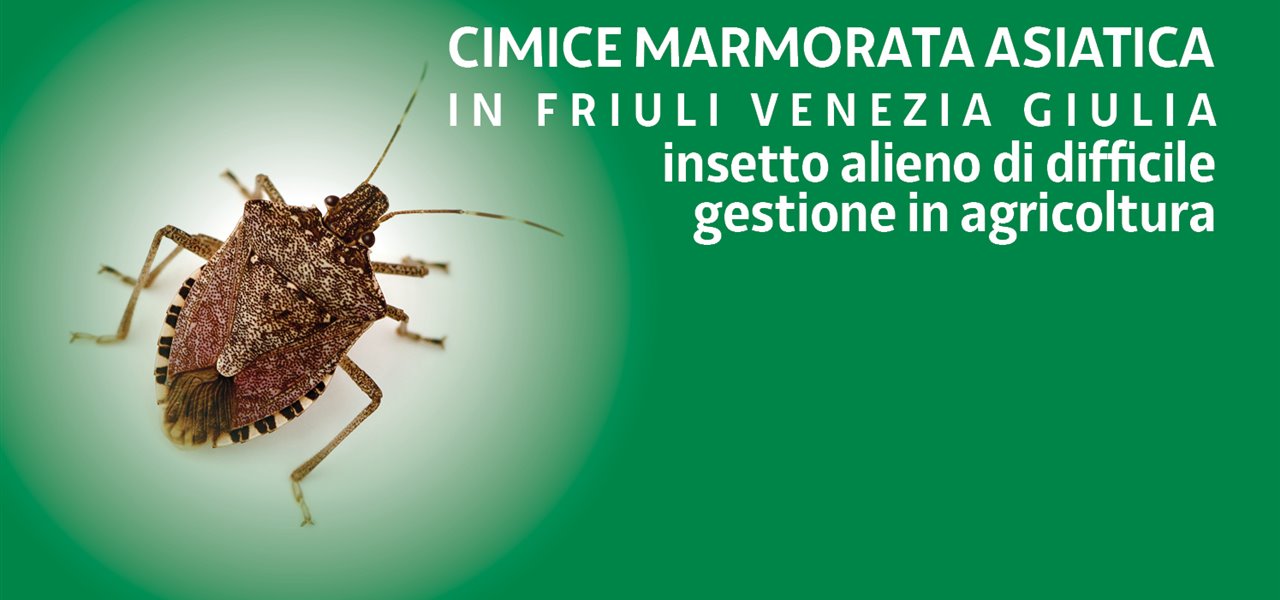 Agrifood FVG