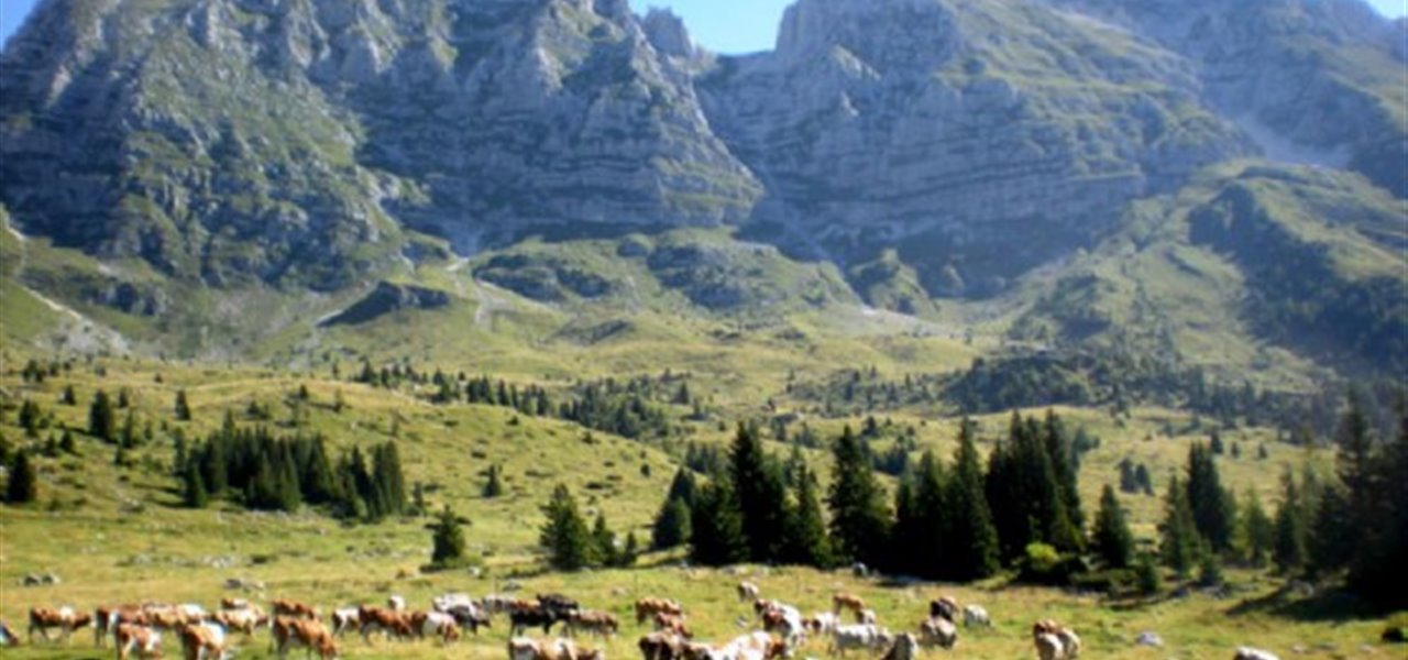 Agrifood FVG