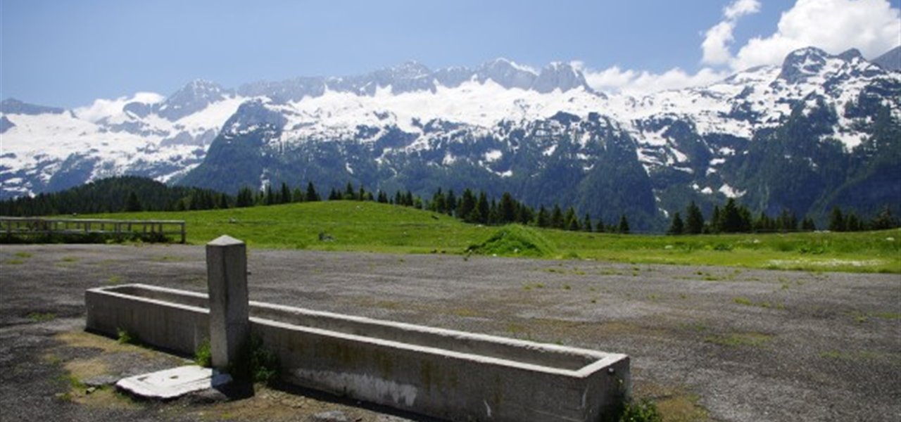 Agrifood FVG