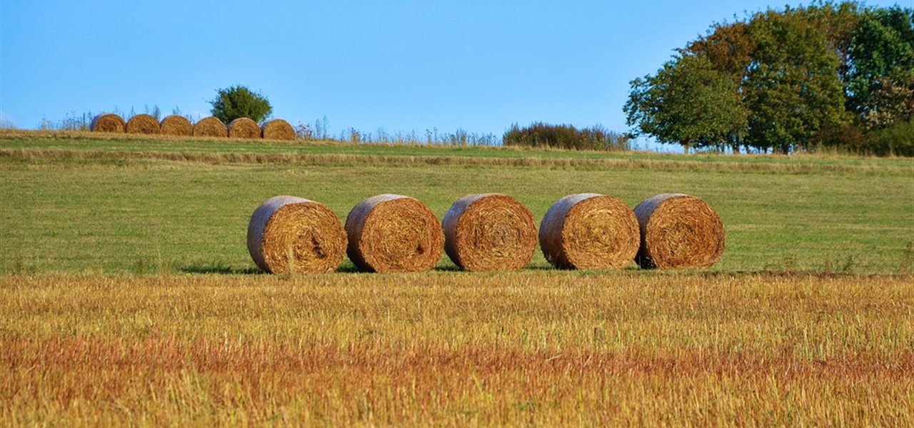 Agrifood FVG