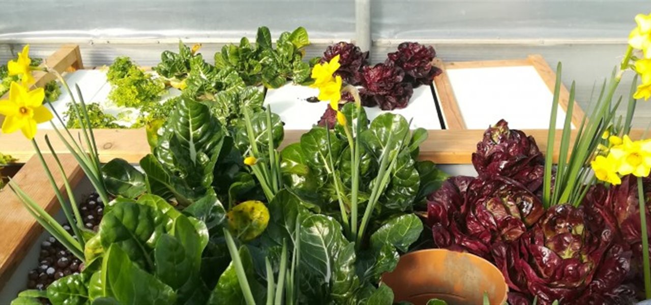 Agrifood FVG