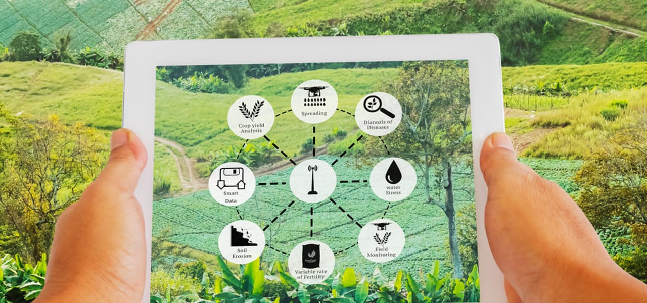 Agrifood FVG