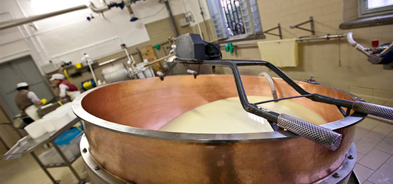 Agrifood FVG