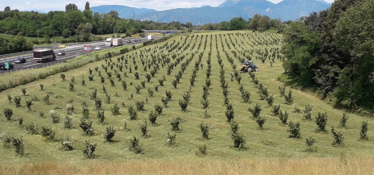 Agrifood FVG