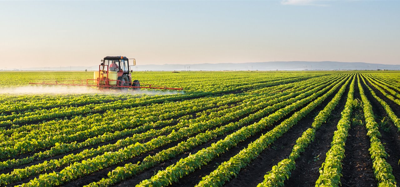 Agrifood FVG