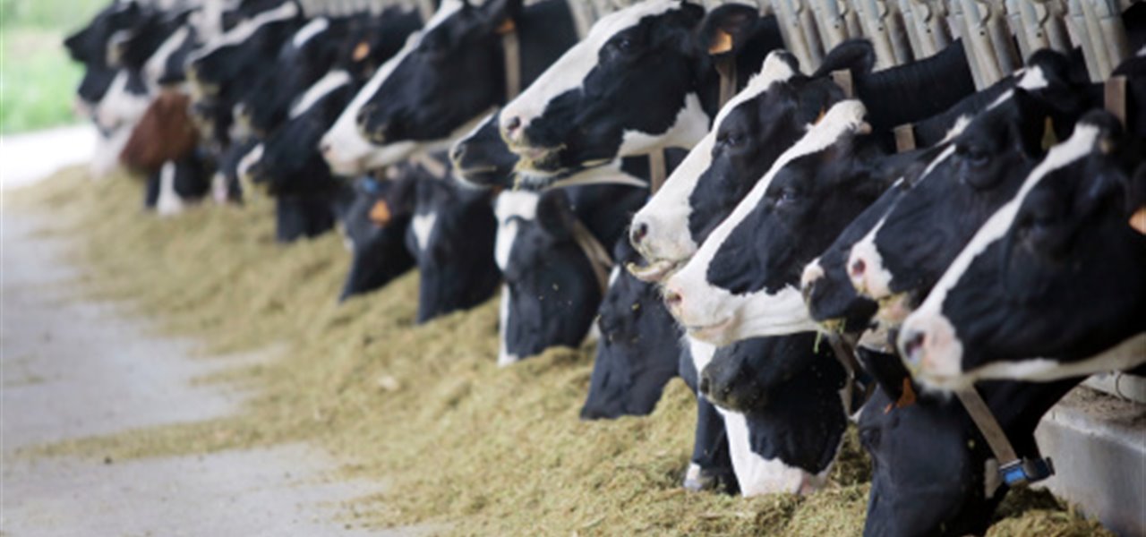 Agrifood FVG