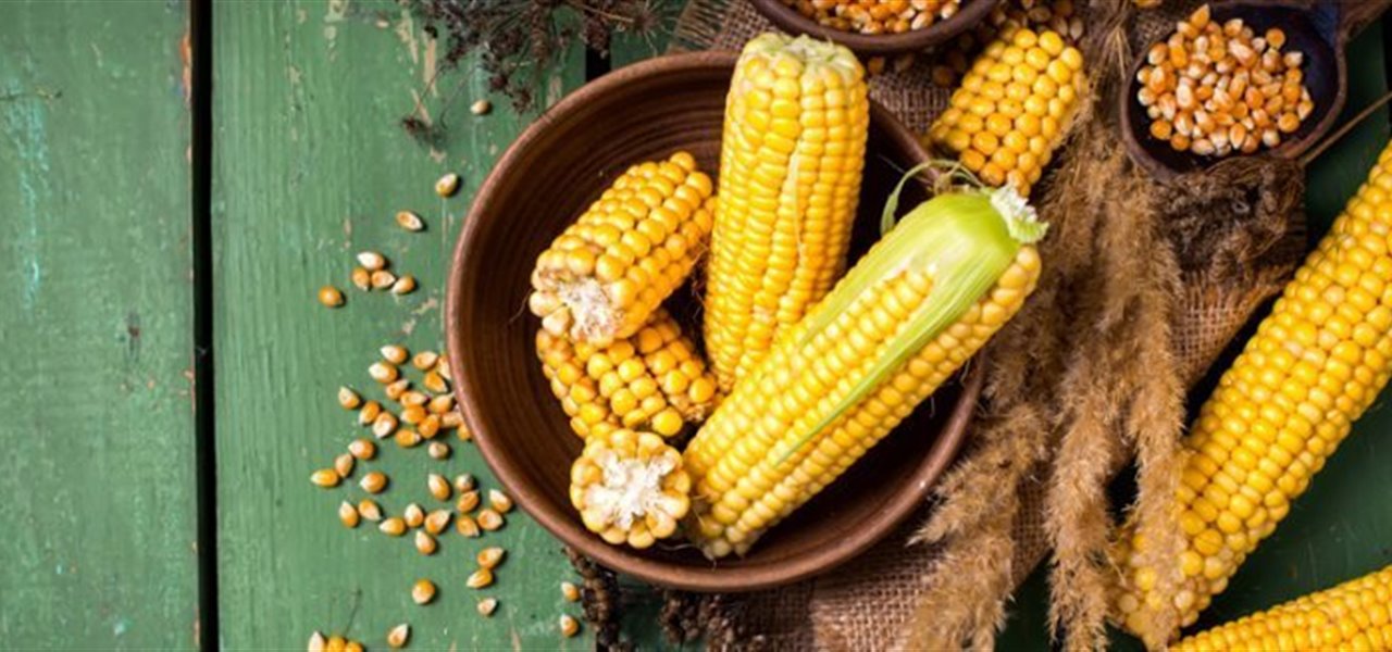 Agrifood FVG