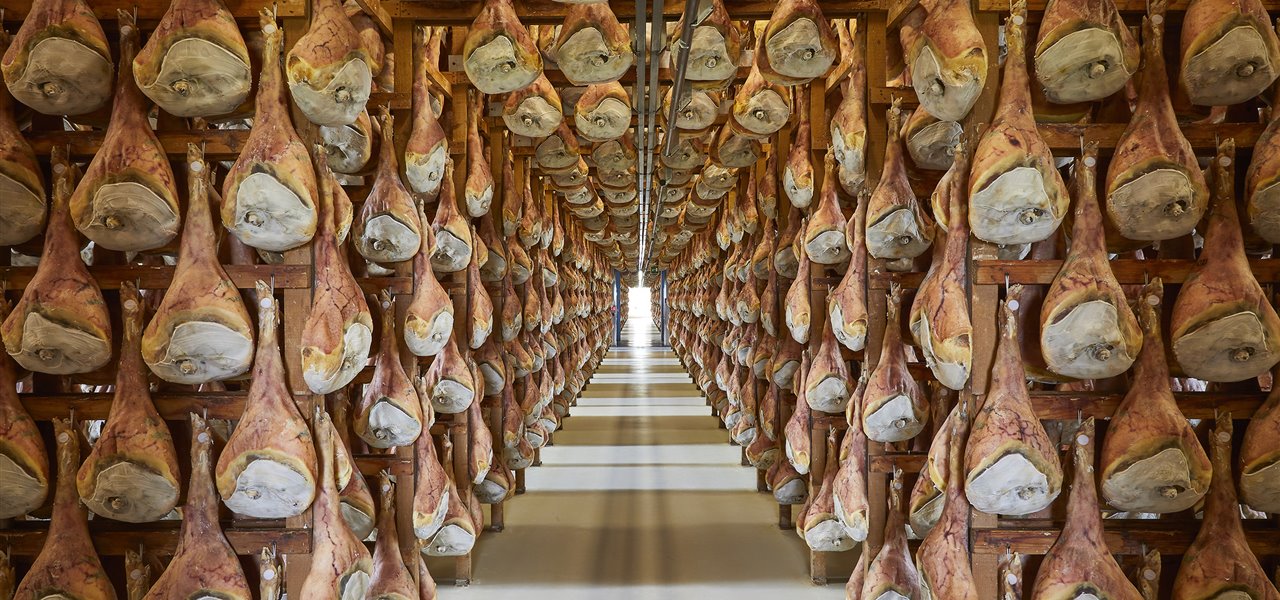 Agrifood FVG