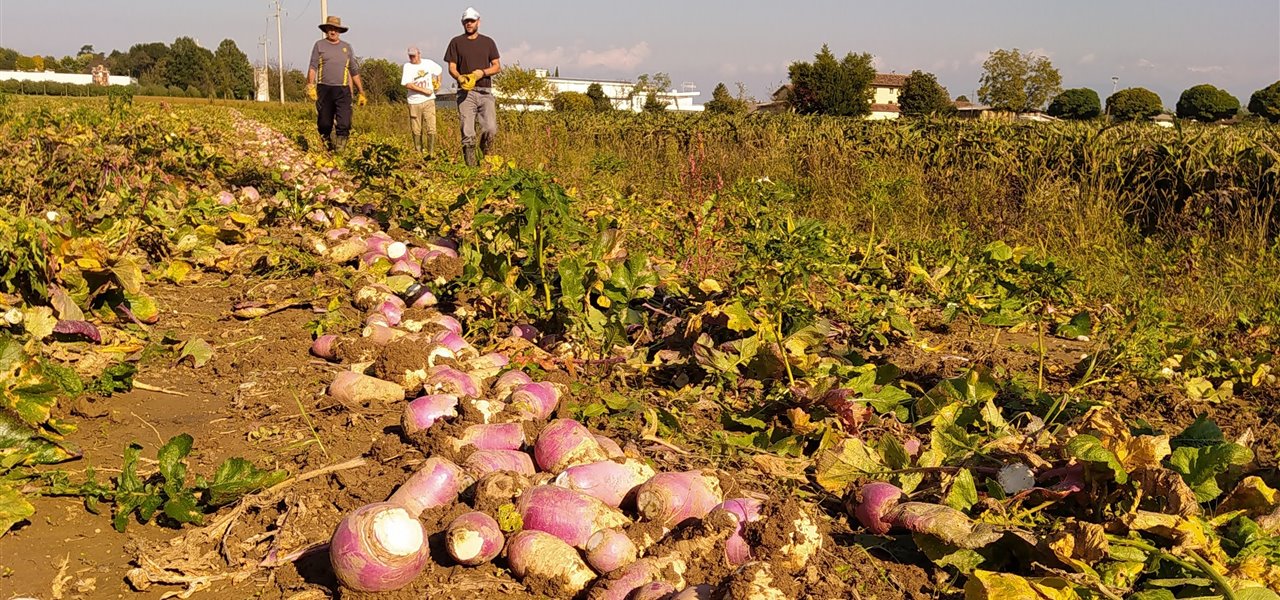 Agrifood FVG