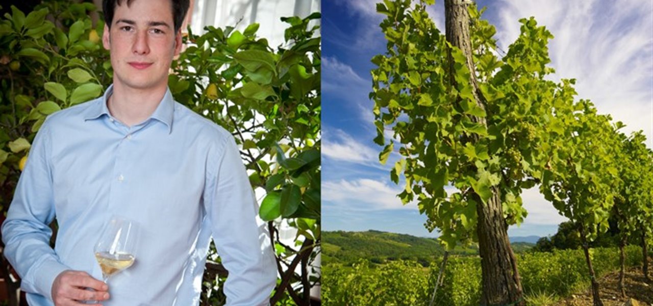 Agrifood FVG