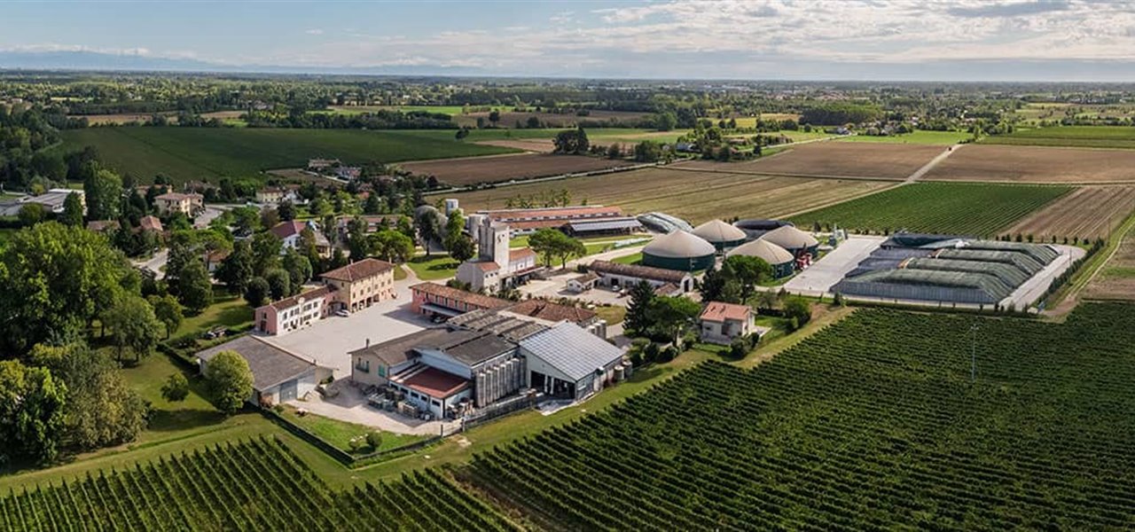 Agrifood FVG