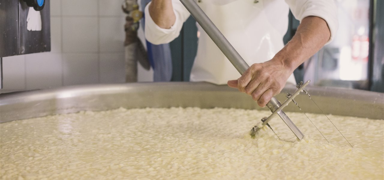 Agrifood FVG