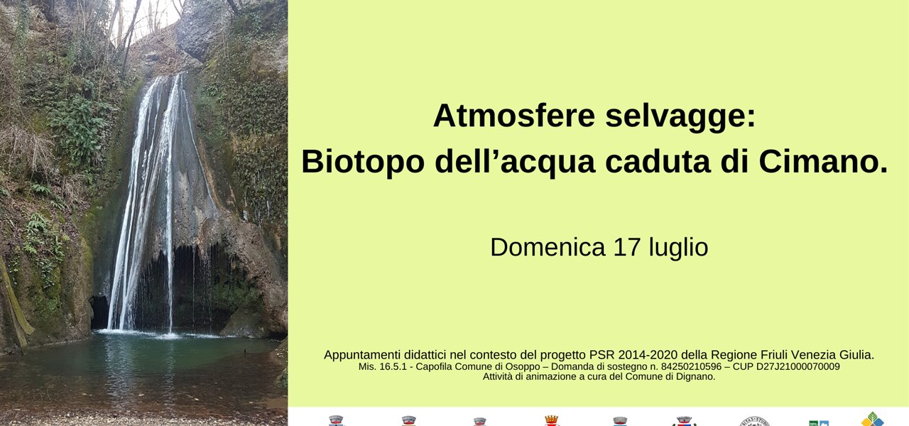 Agrifood FVG