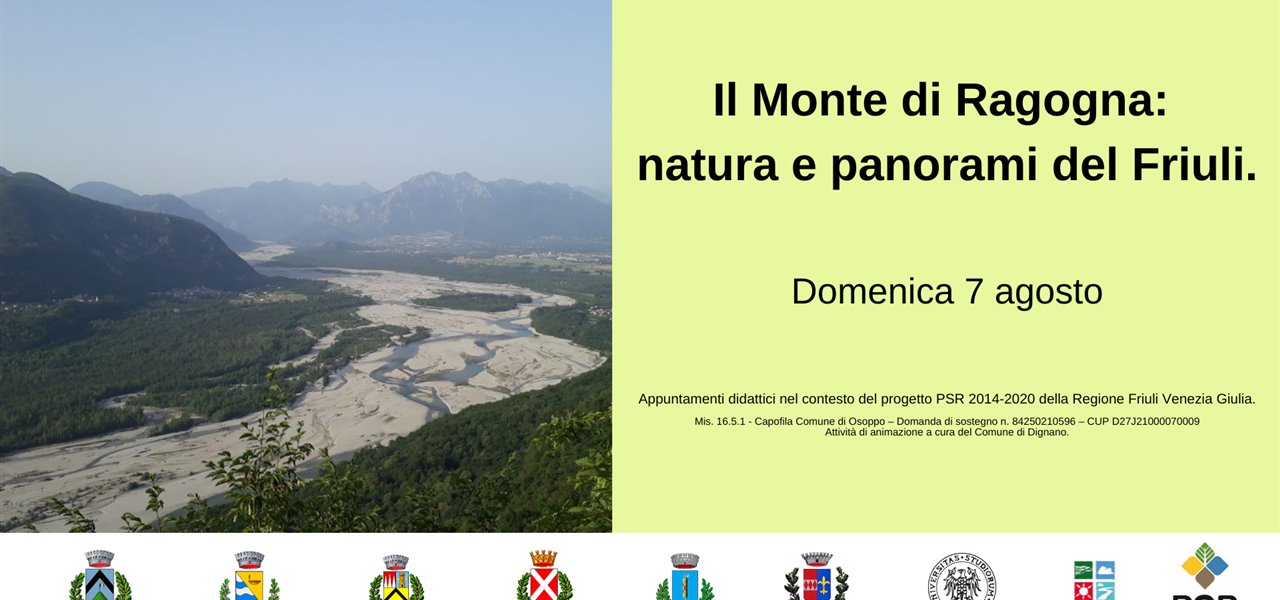 Agrifood FVG
