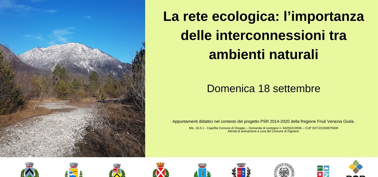 Agrifood FVG