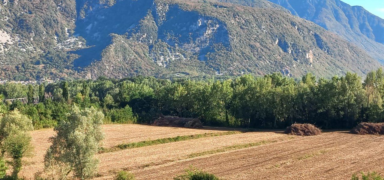 Agrifood FVG