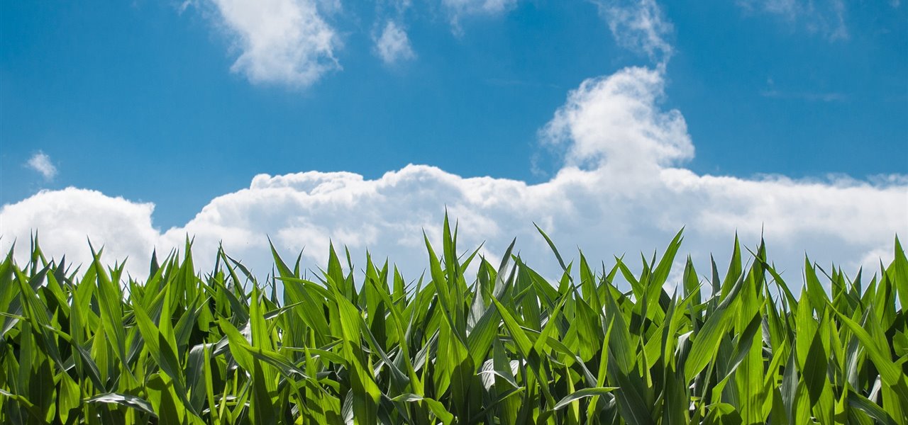 Agrifood FVG