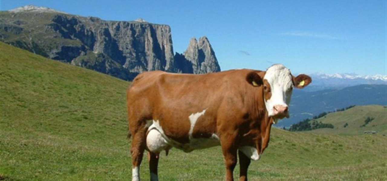 Agrifood FVG