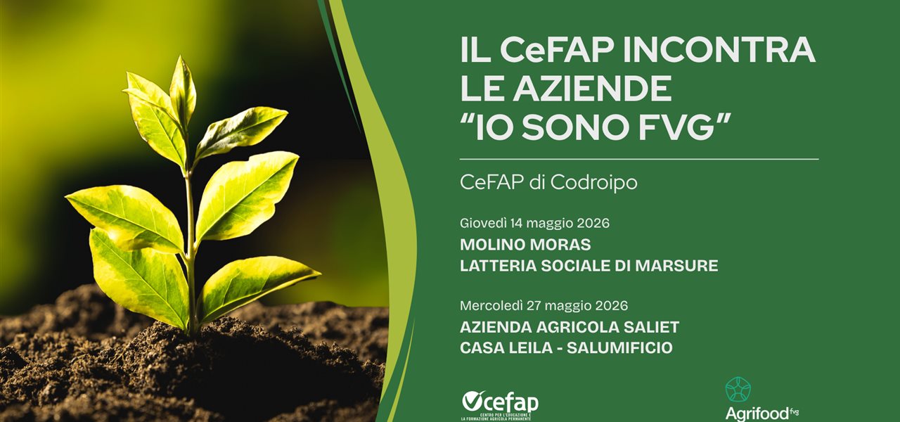 Agrifood FVG